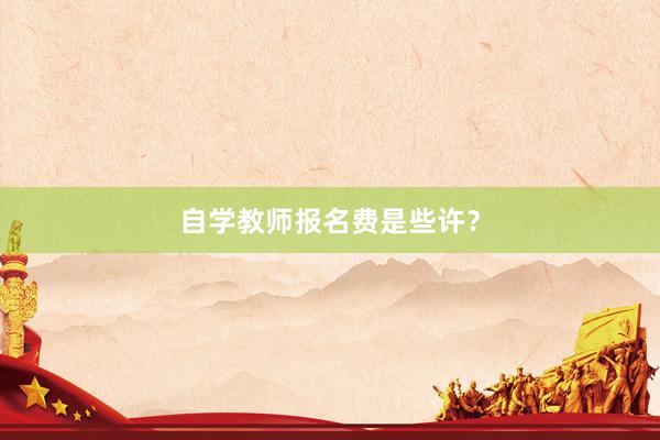 自学教师报名费是些许？